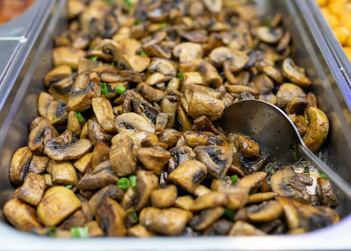 Apollo Отель 3*